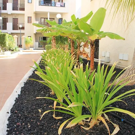 Americas - 2 Bedrooms - Flayla-a